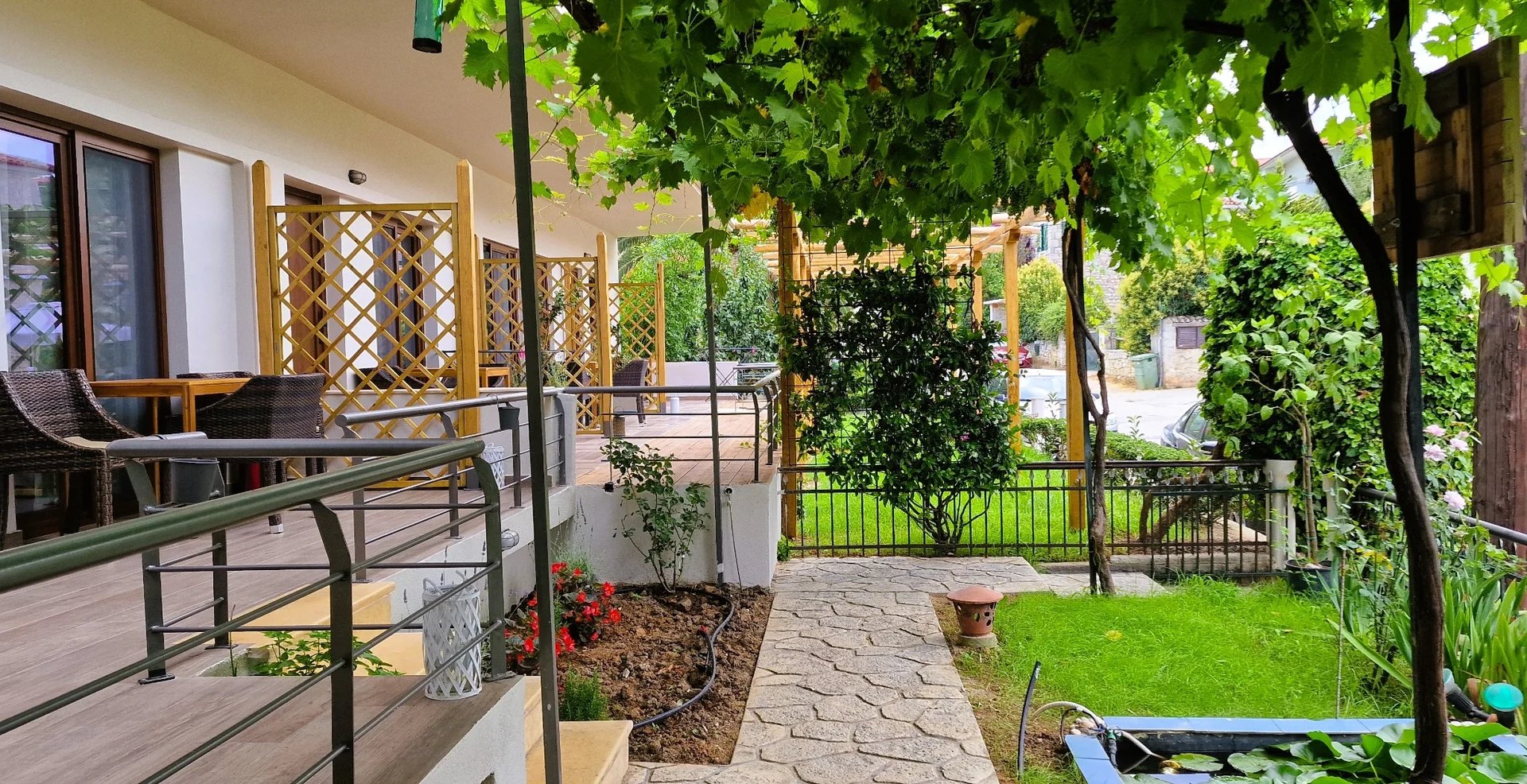 My Afytos Garden garden path and grapevine